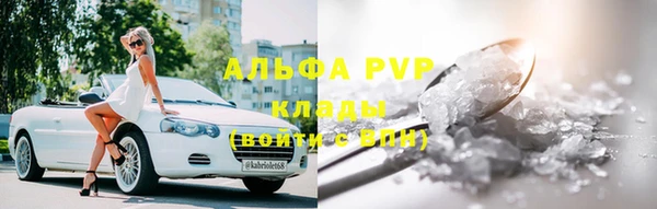 индика Балахна