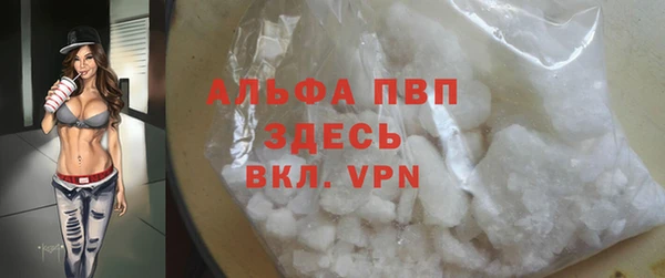 индика Белоозёрский