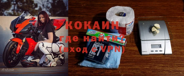 индика Белоозёрский